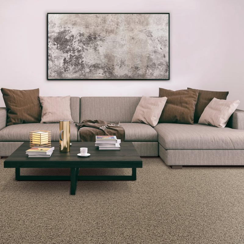Floor Nashville providing stain-resistant pet proof carpet in Nashville, Tennessee.